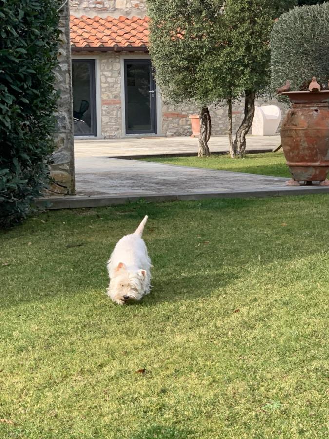 Appartamento In Villa Con Piscina - Mhateria Relais Rignano sullʼArno Extérieur photo